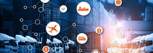 Immagini Supply Chain Sap B1