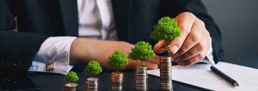 Shutterstock 1956196351