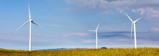 Shutterstock 2730514350