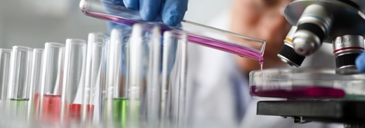 Shutterstock 2456025027