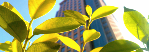 Shutterstock 780245155