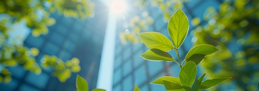 Shutterstock 2555674703 (1)