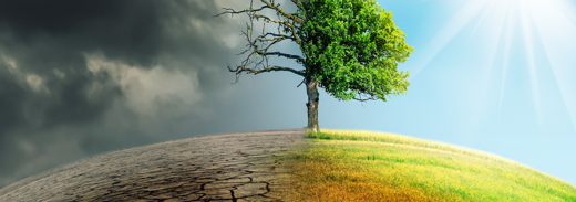 Shutterstock 1269582256