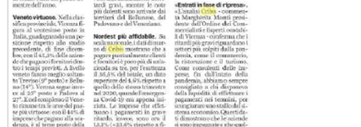 CRIBIS 210604 IL GIORNALE DI VICENZA