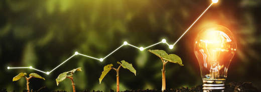 Istockphoto 1225375936 612X612 (2)