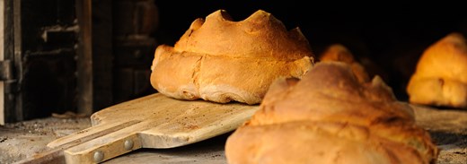 Pane Bakery