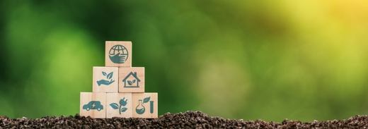 Shutterstock 2149645799