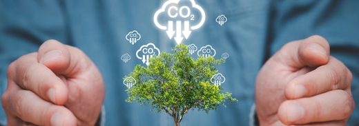 Shutterstock 2429886271