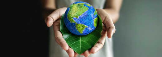 Shutterstock 1991241572