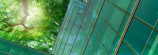 Shutterstock 2013544754