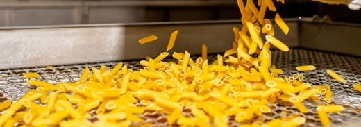 Shutterstock 2519169577