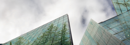 Shutterstock 524245249