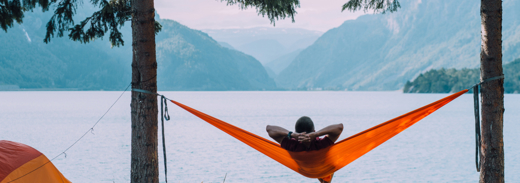 Shutterstock 1160034148