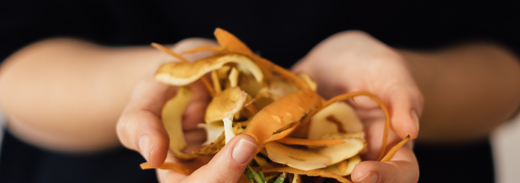 Shutterstock 1735216880