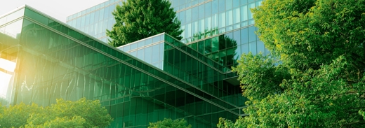 Shutterstock 2259920251 (1)