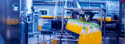 Shutterstock 1119523799