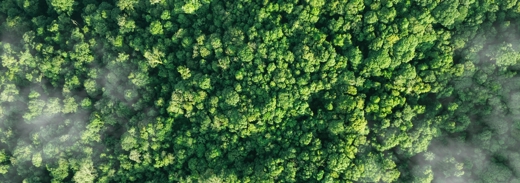 Shutterstock 2538911077