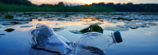 Shutterstock 2495236013