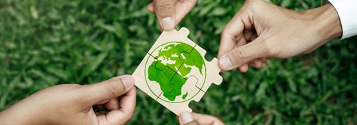 Shutterstock 2471515609