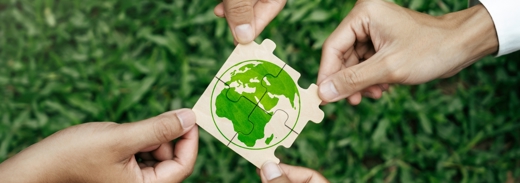 Shutterstock 2471515609