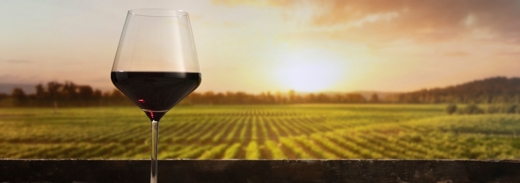 Shutterstock 2158299977