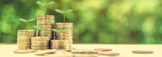 Shutterstock 1299695593