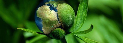 Ecology G5821e1584 1280