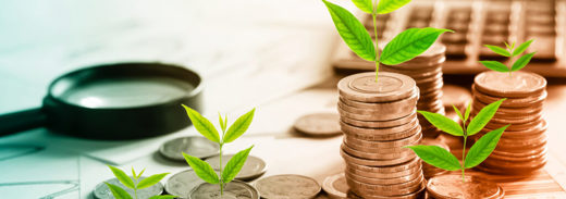 Investimenti Sostenibili 1024X683