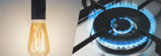 Shutterstock 1503237197