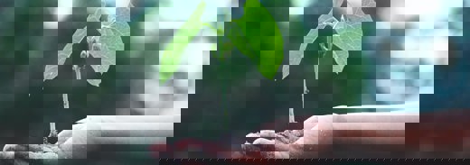 Green Sostenibilità