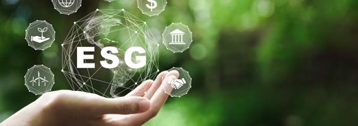 Shutterstock 2035527743