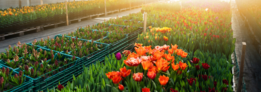 Shutterstock 1649514853