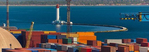 Shutterstock 1017247873