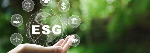 Shutterstock 2035527743