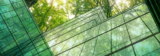 Shutterstock 2383026653