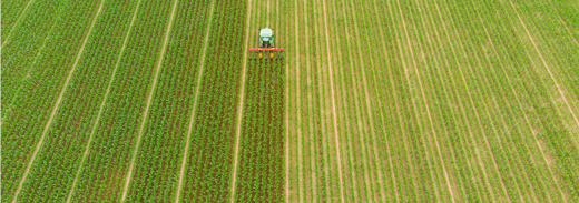 Immagine 2022 09 27 092735